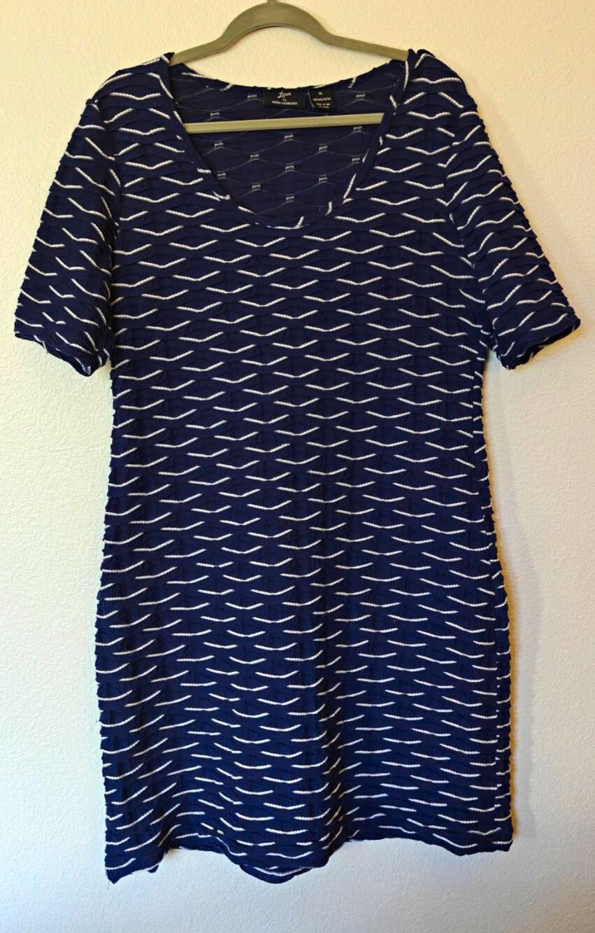 Lennie for Nina Leonard Shift Dress XL Blue White Geometric Scoop Neck Knit
